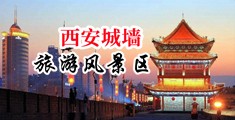 暴操白虎骚穴中国陕西-西安城墙旅游风景区