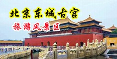 裸体美女艹逼中国北京-东城古宫旅游风景区